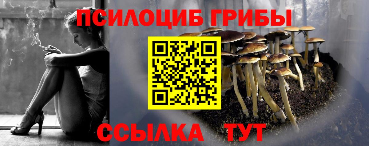 цена наркотик  Вход с VPN  Миасс  Галлюциногенные грибы MAGIC MUSHROOMS 