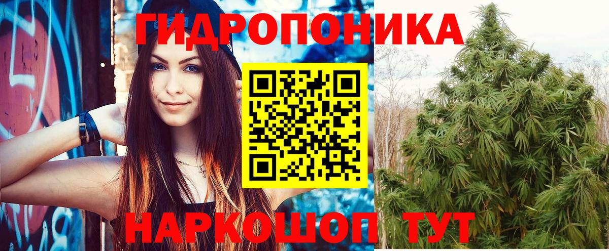 Бошки Шишки AK-47  Каннабис семена  Миасс  Вход с VPN  МАРИХУАНА White Widow  Шишки марихуана OG Kush 
